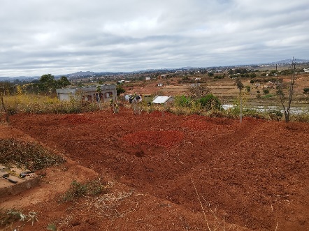 Agriculture image 21