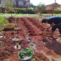 Agriculture image 32