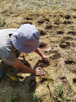 Agriculture image 38
